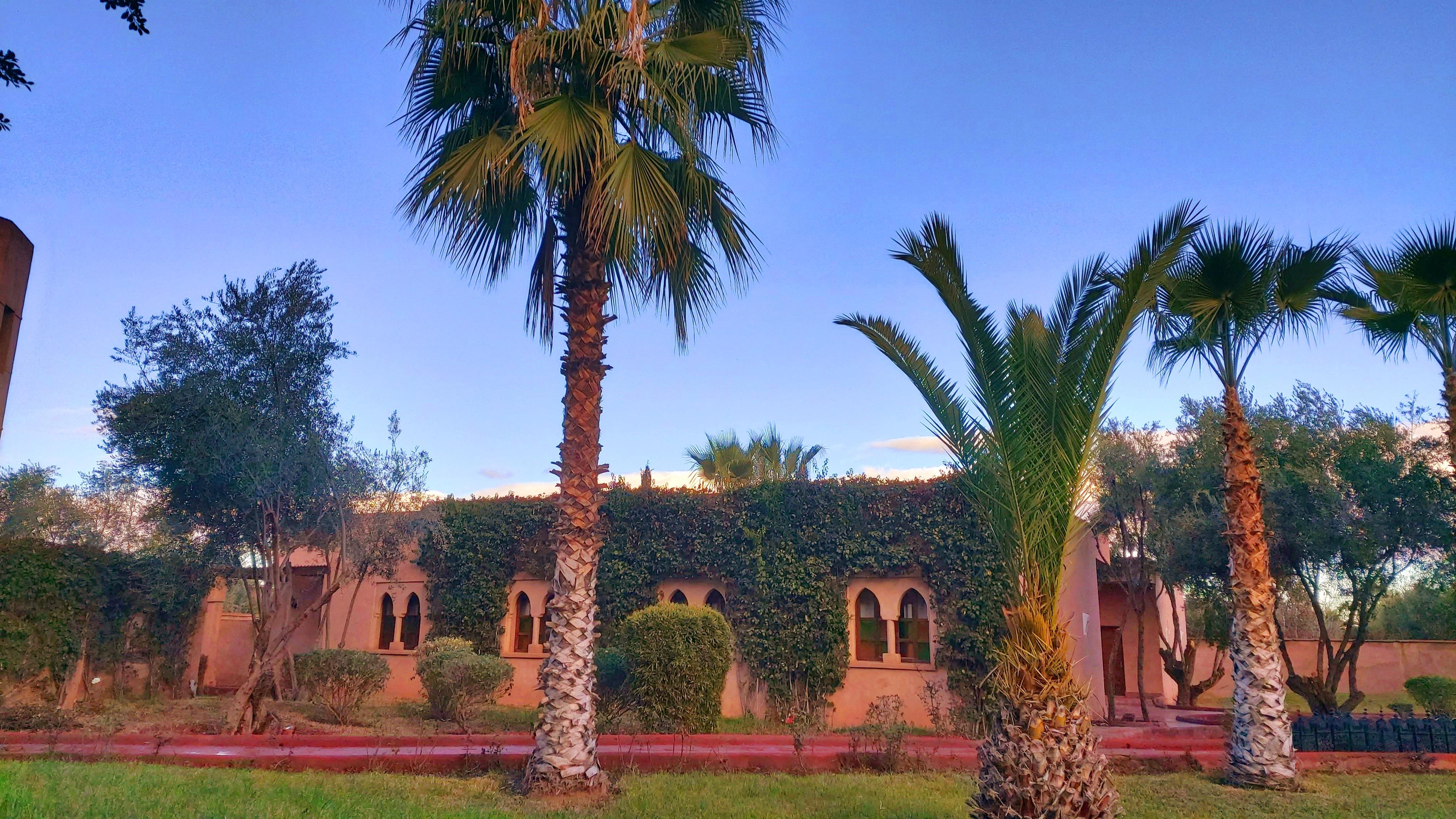 La Maison Des Oliviers Lagouassem Экстерьер фото